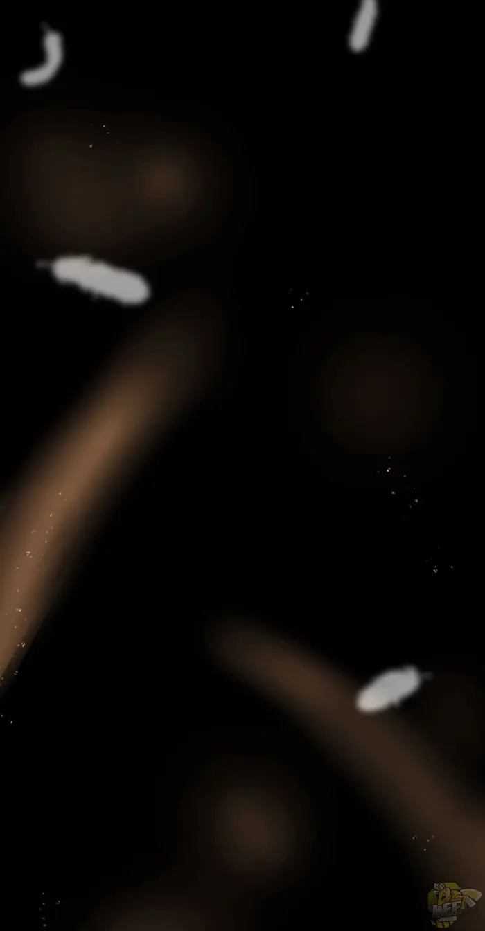 The Beginning After the End Chapter 119 image 003_optimized